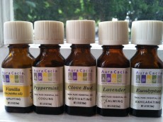 Thumbnail image for Adorn Yourself with Essential Oils